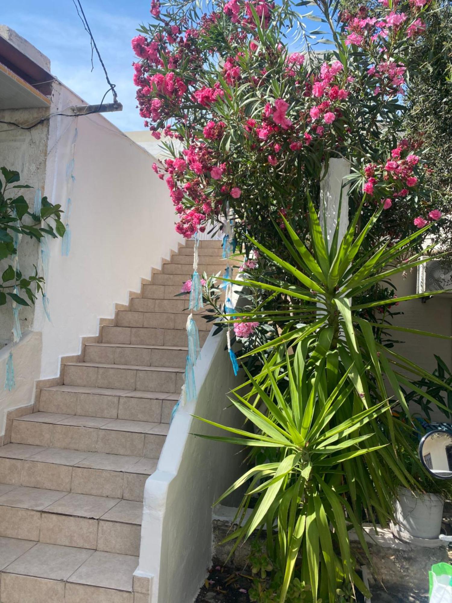Seaside Home Rethymno  ภายนอก รูปภาพ
